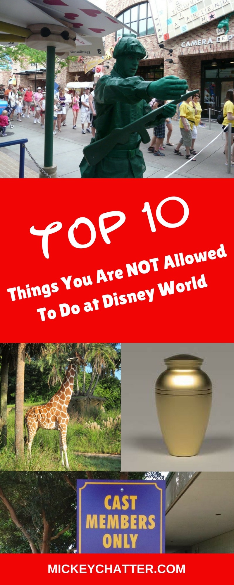 Learn about the top 10 things not to do at Disney World!