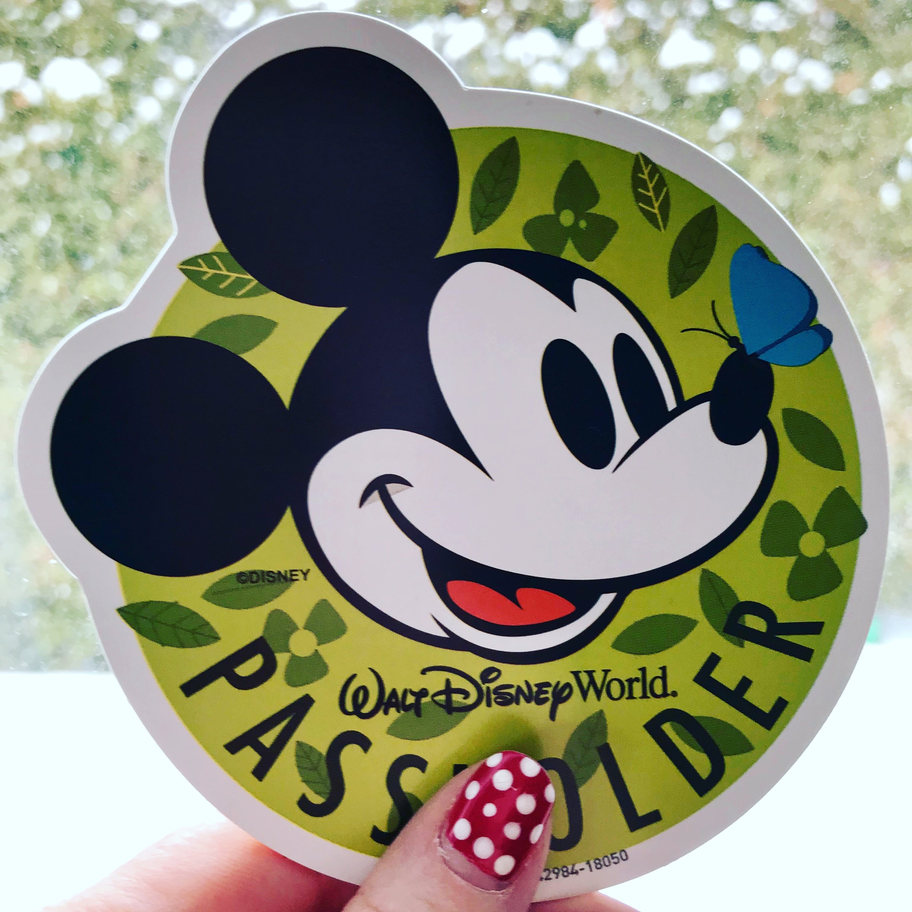Disney Passholder Magnet from 2018 Flower & Garden Festival