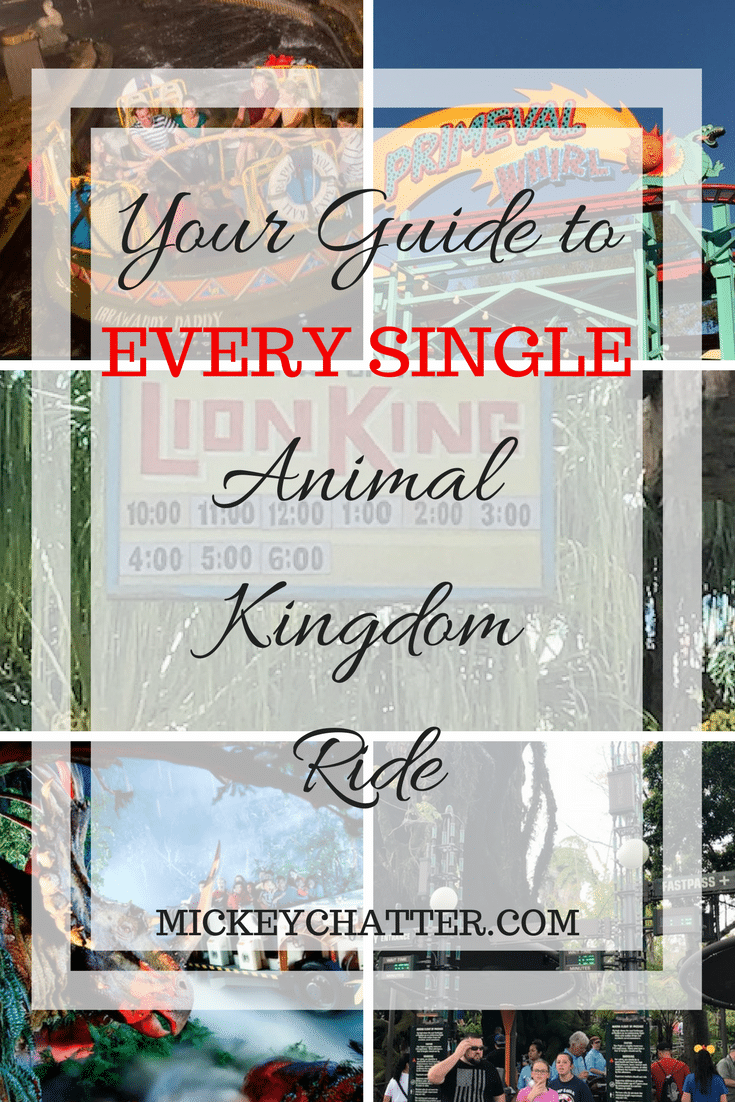 Your guide to EVERY SINGLE Animal Kingdom ride
