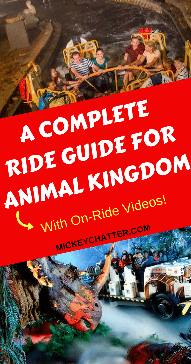 A complete guide for every ride at Animal Kingdom, with on-ride videos! #disneyrides #animalkingdom #disneyworld #disneyvacation #disneyplanning