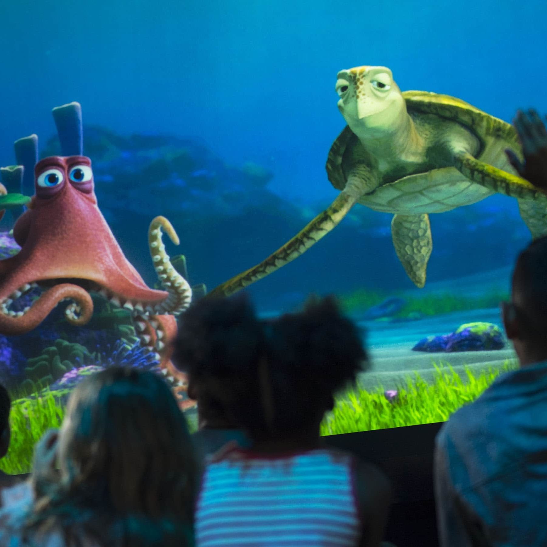 Turtle Talk With Crush at Epcot Epcot with kids