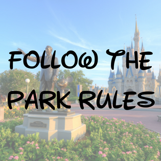 Top 10 Things You Cannot do at Disney World Top 10 Things that can get you kicked out of Disney World!