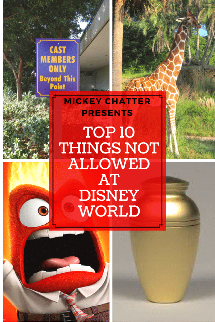 Top 10 Things You Are NOT Allowed To Do at Disney World Mickey Chatter