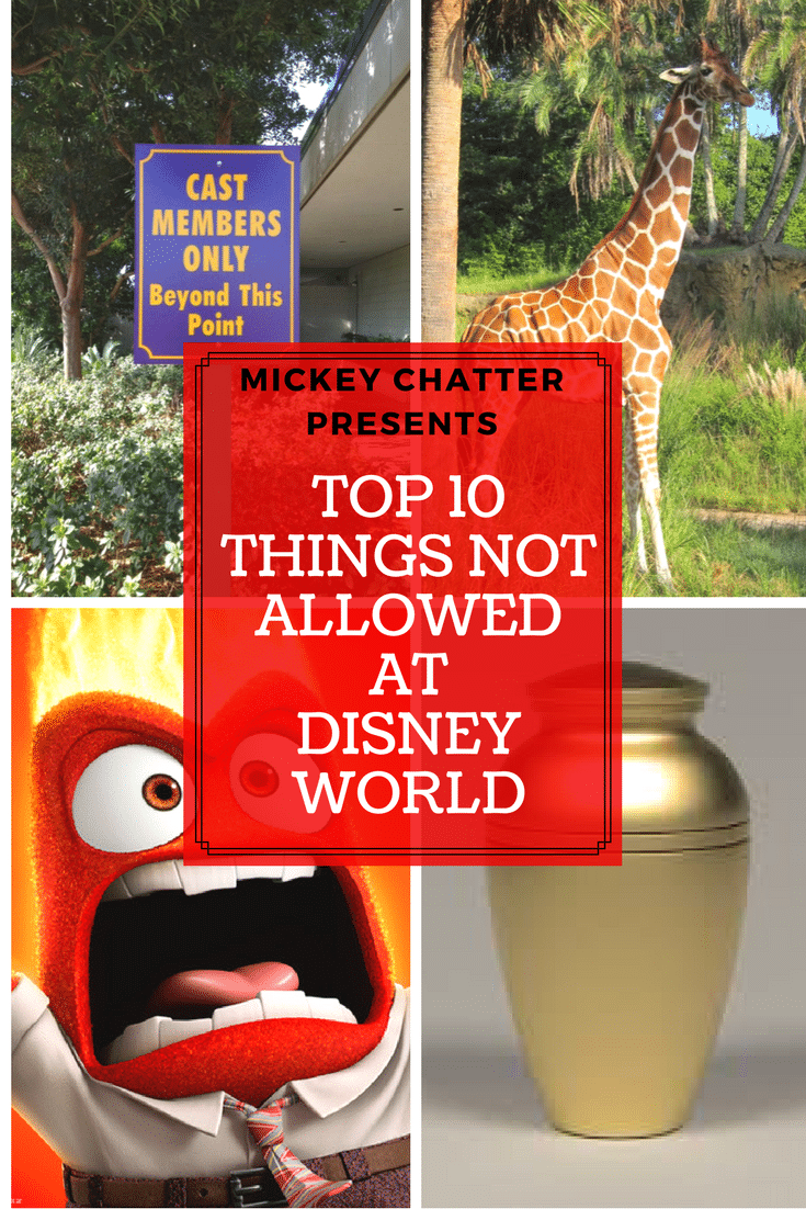 Top 10 Things NOT Allowed at Disney World - could even get you banned!