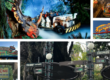 Your guide to every single ride at Disney's Animal Kingdom with on-ride videos!