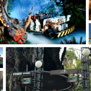 Your guide to every single ride at Disney's Animal Kingdom with on-ride videos!