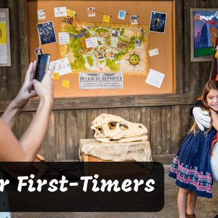 Disney tips for first timers Tips for when it is your first time at Disney World #disneyworld #disneytips