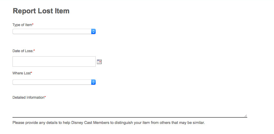 Disney World lost and found item detail online report