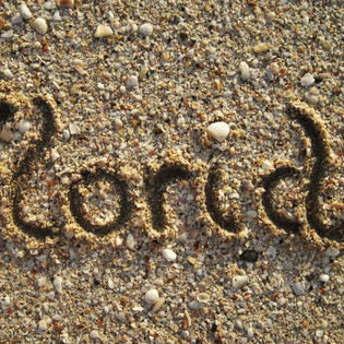 best month to visit Find out when is the best month to visit Florida for your Disney World vacation