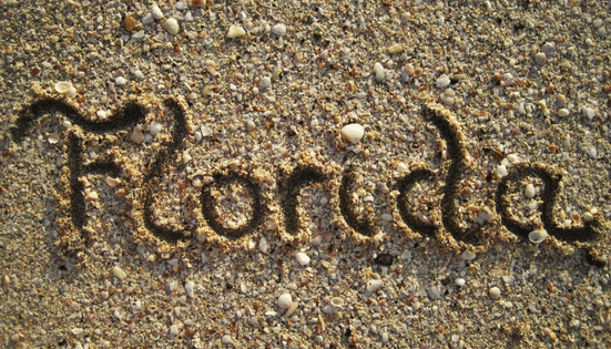 Find out when is the best month to visit Florida for your Disney World vacation