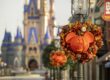Fall 2020 Disney World Promotions #disneyworld #disneytrip #disneyvacation #disney2020 #travelagent #disneytravelagent
