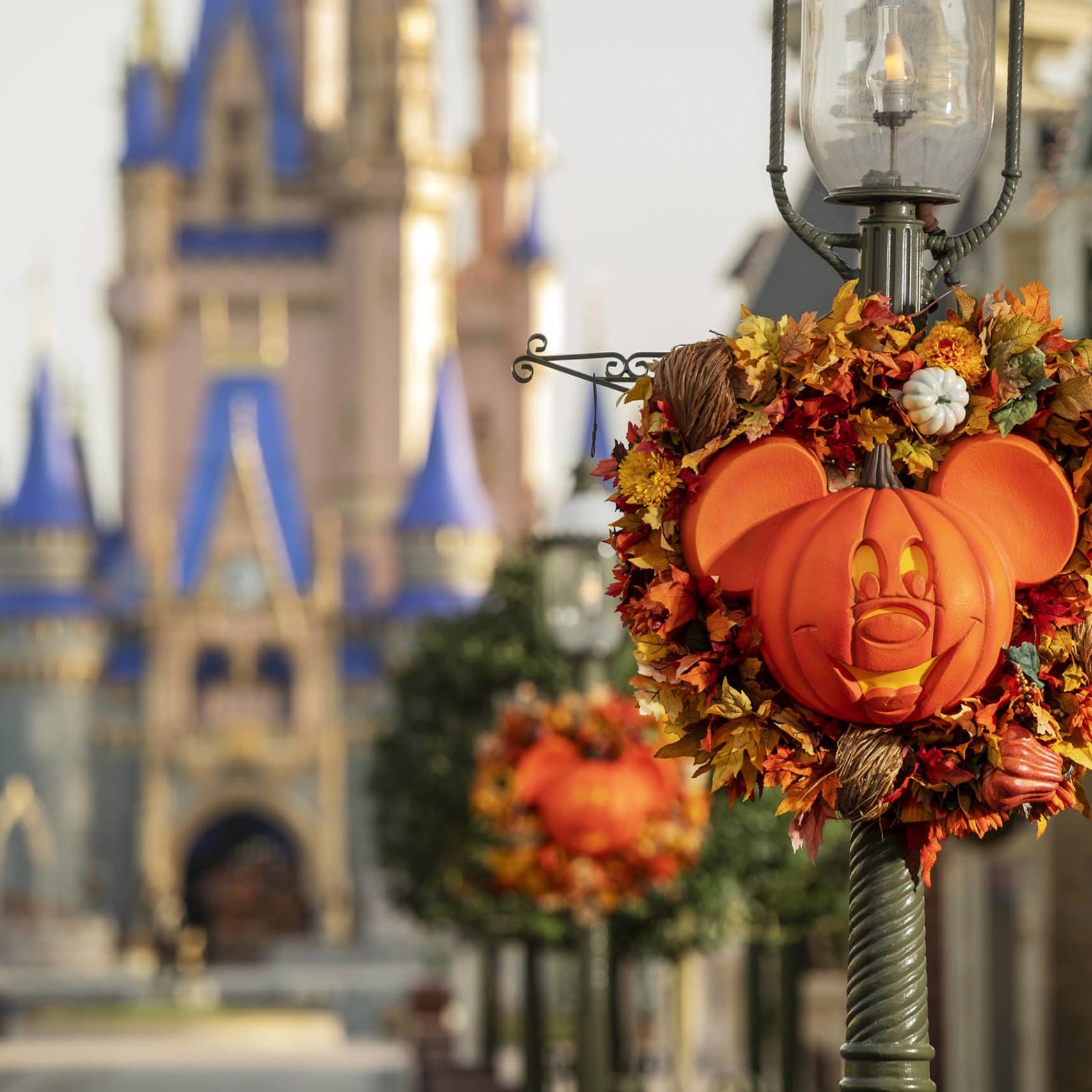 Fall 2020 Disney World Promotions #disneyworld #disneytrip #disneyvacation #disney2020 #travelagent #disneytravelagent